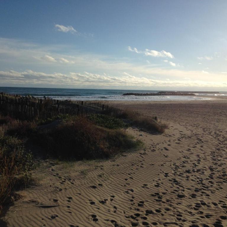 Studio cabine à la plage, parking et animaux acceptés - FR-1-338-552 - Studio - 12