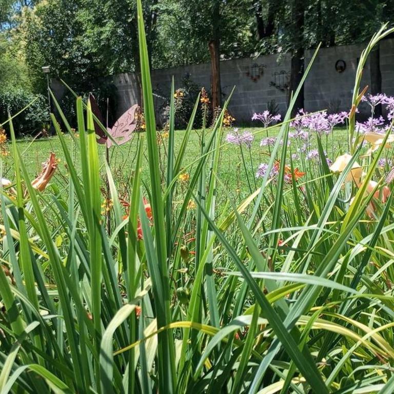 Comodidad y espacio para relax - Casa de 2 dormitorios - 6