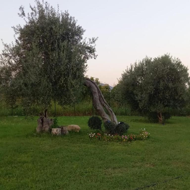 I Secolari di Giulia - Casa con 2 Camere da Letto - 37