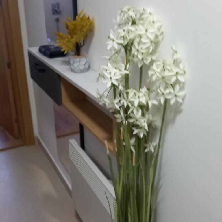 Akik - Apartman sa 1 Spavaćom Sobom - 19