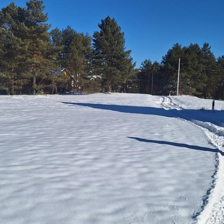 Apartman Narcis Polje - Apartman sa 1 Spavaćom Sobom - 19