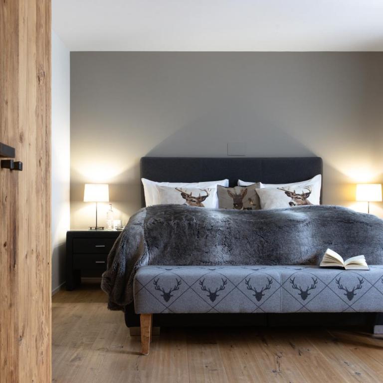 Hotel Adula - Alpine Suite - 5