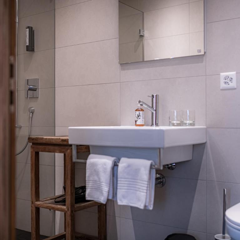 Hotel Adula - Alpine Suite - 9