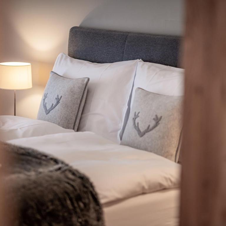 Hotel Adula - Alpine Suite - 8