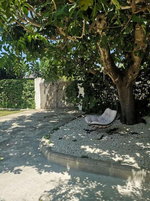 Casita de la Higuera - Casa con 1 dormitorio - 20