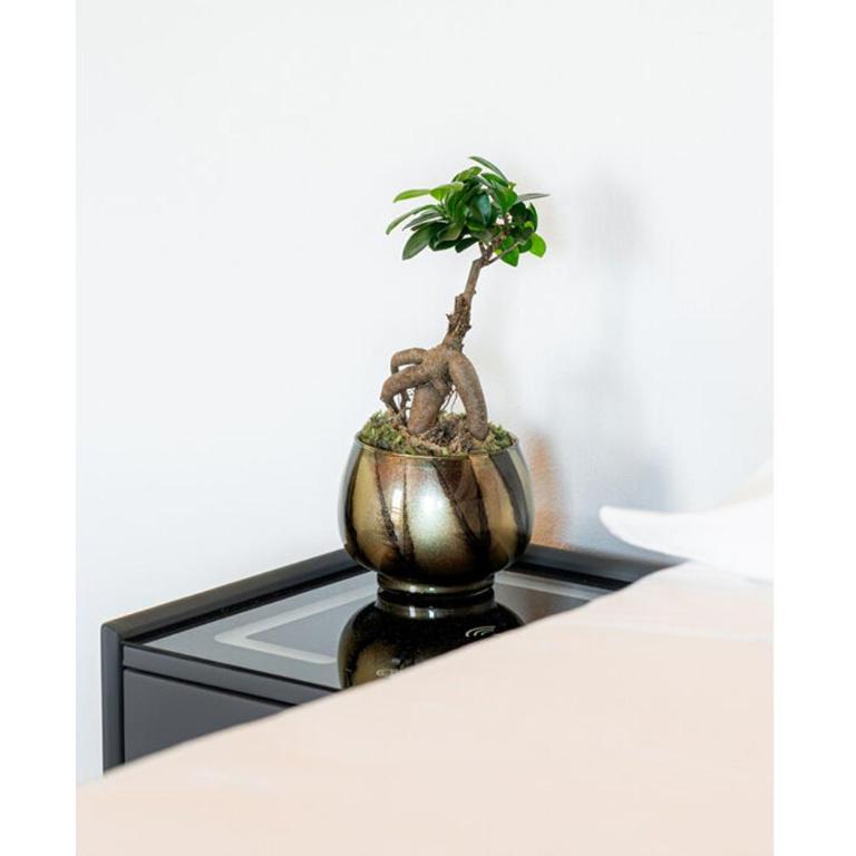 Bes Residence Bergamo Polaresco - Monolocale - 1