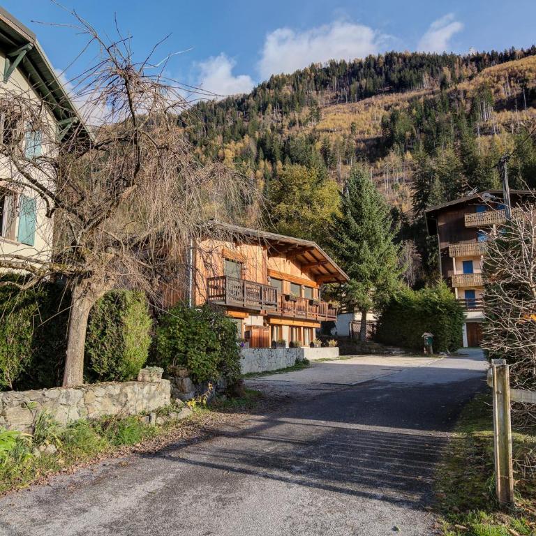 Apartment Biolay, Alpes Agency, Central Chamonix, Sleeps 6 - Appartement - 31