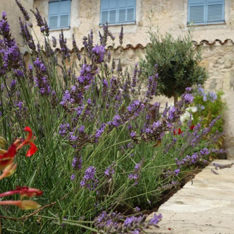 Le Jardin du Village - Valbonne - Appartement avec Jardin - 14