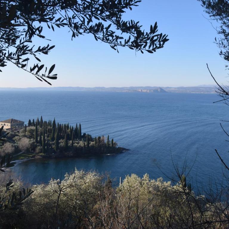Villa La Limonaia Garda, extraordinary silent position, great lake view - Casa con 6 Camere da Letto - 39