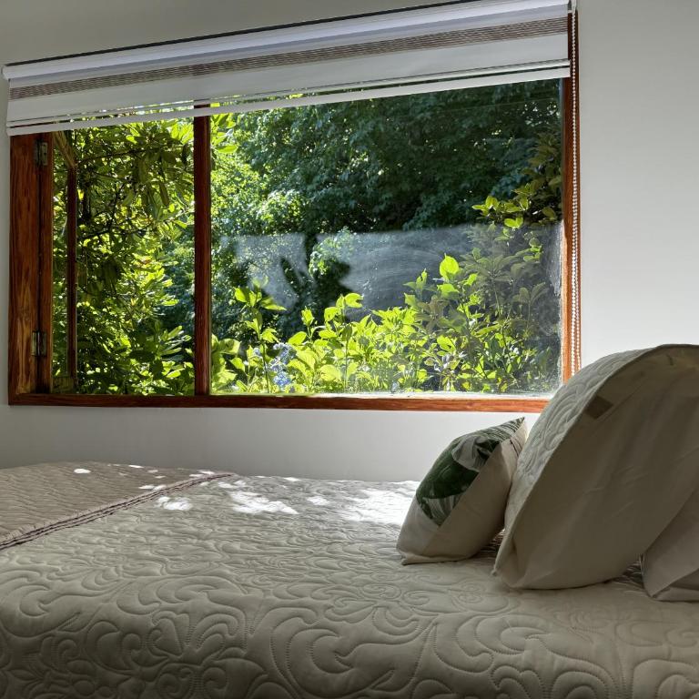 Magnolia Bed & Breakfast - Habitación Doble - 2 camas - 6