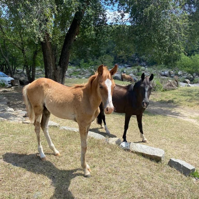 Casa De Campo La Melisa Frente Al Río - Two-Bedroom House - 30