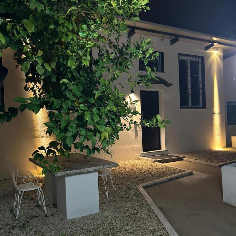 lemon suites - Appartamento Superior con Vista Città - 29