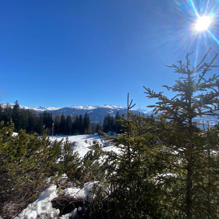 Superbe chalet 12 personnes vue imprenable 2nuits min - Chalet - 15