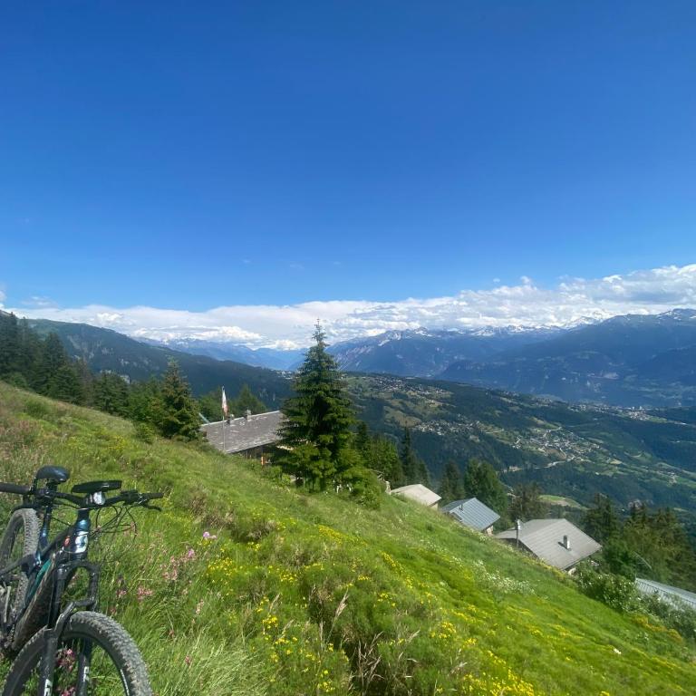 Superbe chalet 12 personnes vue imprenable 2nuits min - Chalet - 8