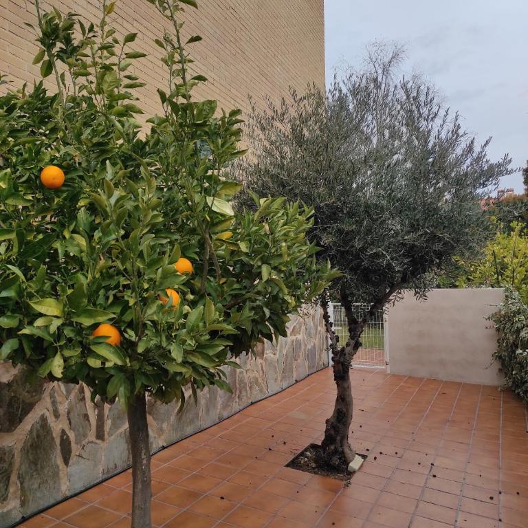 Casa con Jardín entre Toledo y Puy du Fou - Casa de 3 dormitorios - 10