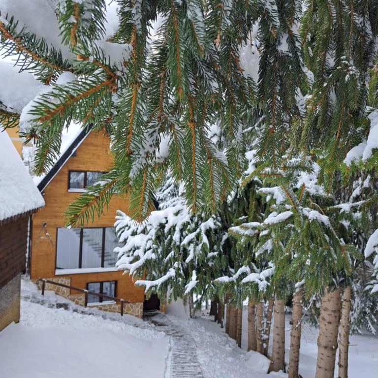 Villa Zagorka and mountain houses A, M, D - Two-Bedroom Chalet - 1