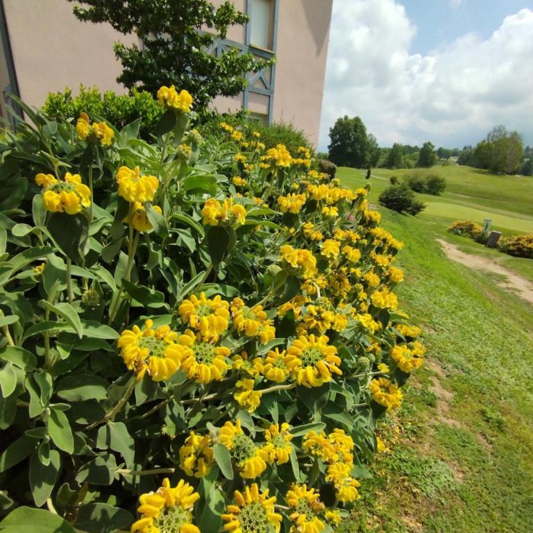 Appartement 3 étoiles, 2 chambres , cuisine aménagée, terrasse, face à la chaîne des Pyrénées - Appartamento con 2 Camere da Letto - 20
