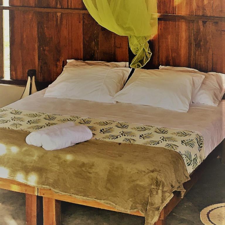 Amazona Lodge - Alojamiento Ave Pequeño - 3