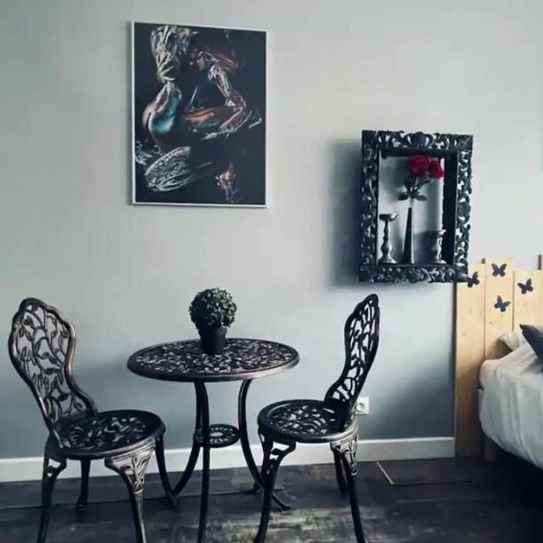 Orphelin studio avec Balnéo proche centre ville - Appartement 1 Chambre - 11