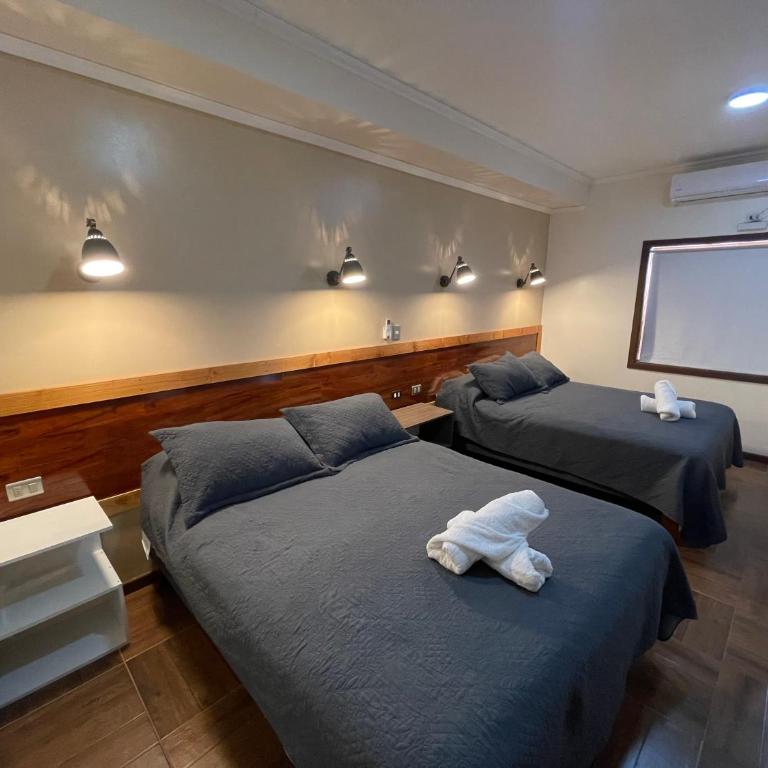 Residencial Victoria Said - Family Suite - 7