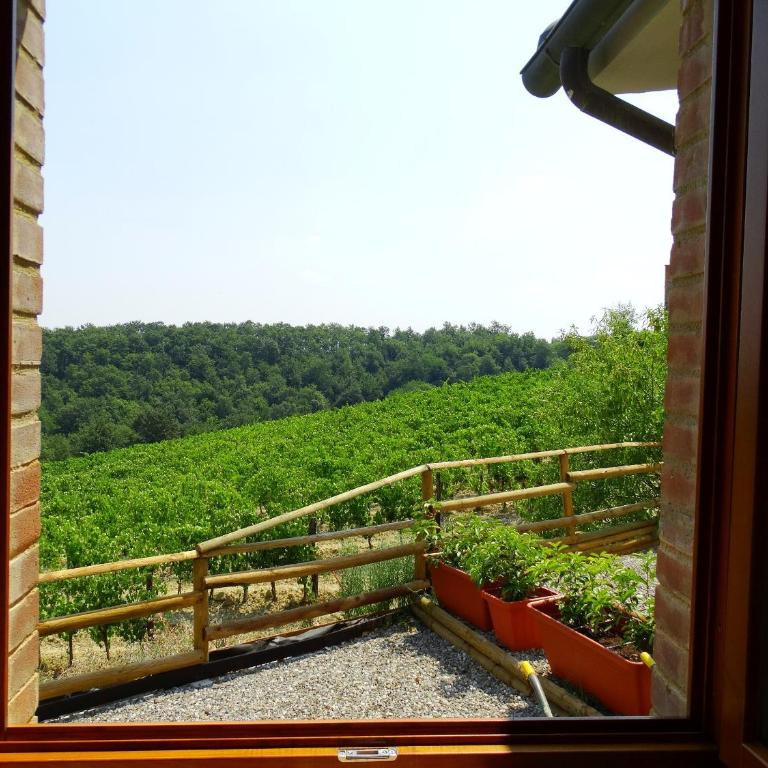 Agriturismo Montegonfoli - Double with Terrace - 7