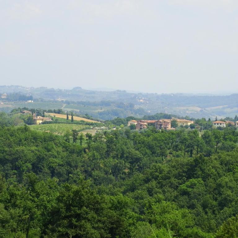 Agriturismo Montegonfoli - Double with Terrace - 9