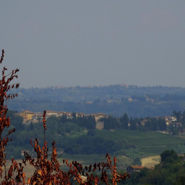 Agriturismo Montegonfoli - Double with Terrace - 12