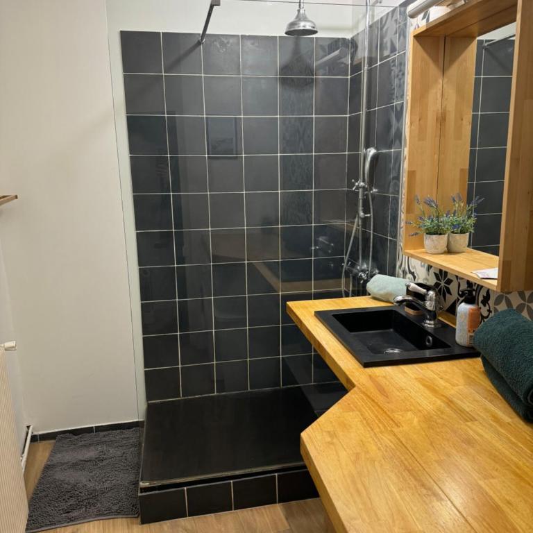 Hyper centre gordaine #3 - Appartement 1 Chambre - 25