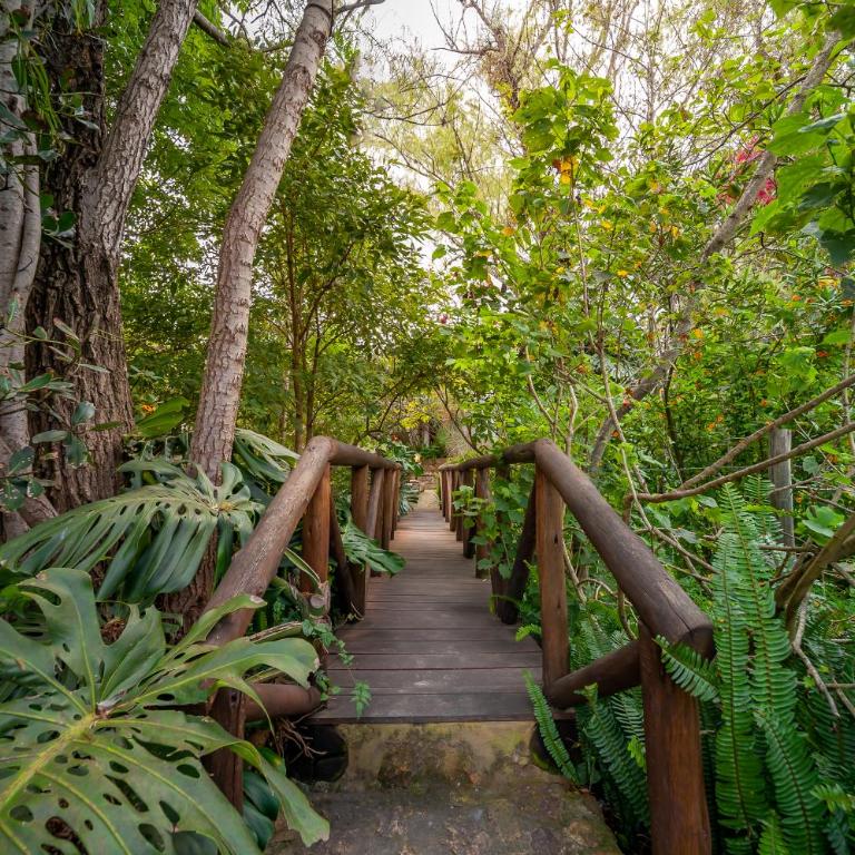 Casa de Las Aguas - Bungalow (2 Adults) - 35