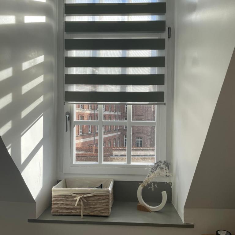 Chambre privée Place aux oignons - Chambre Deluxe - 7