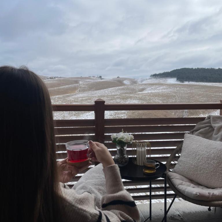 Pure Rest Lux & Spa Zlatibor - One-Bedroom Apartment - 22