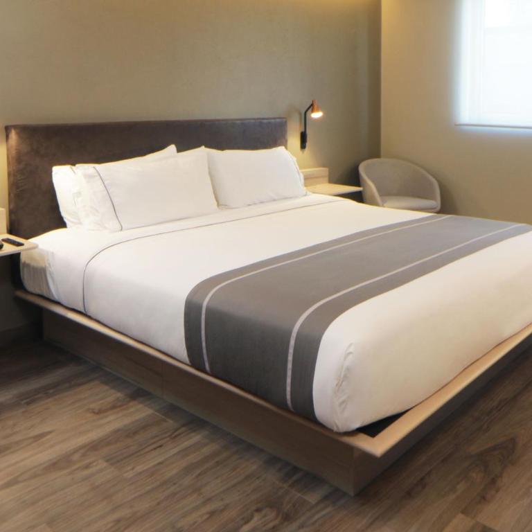 City Express Plus by Marriott Guadalajara Providencia - Habitación con cama grande - 6