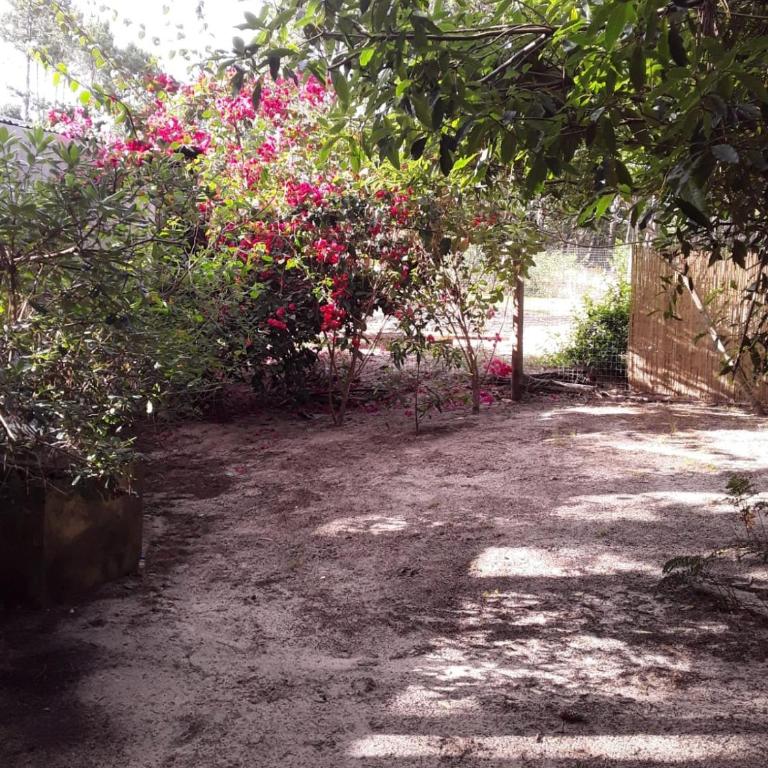 PINAR DEL SOL I y II - Casa de 2 dormitorios - 24