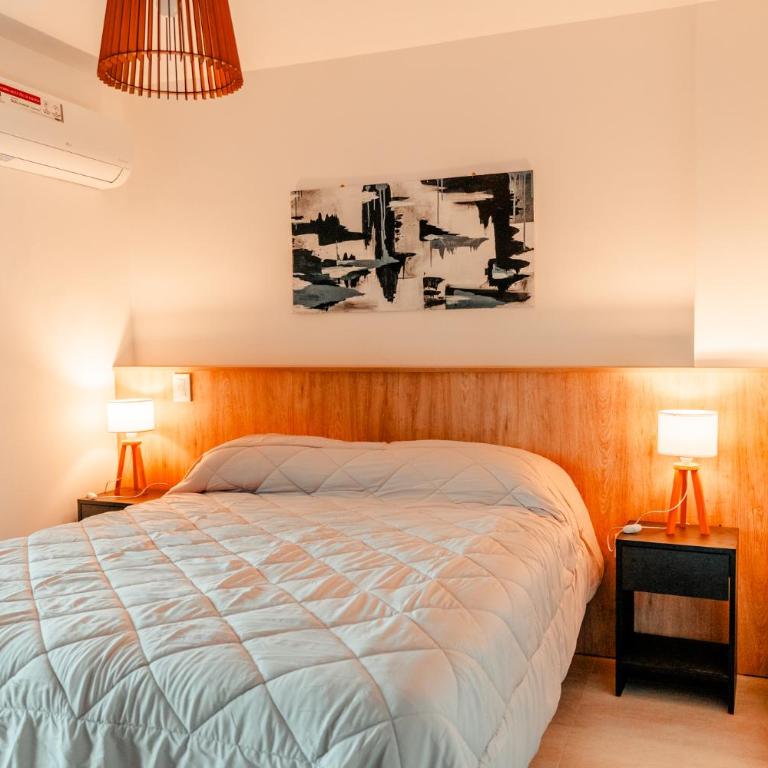 Departamento zona centrica en mendoza - Apartamento de 1 dormitorio con vistas al jardín - 22