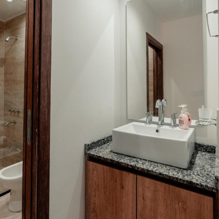 Departamento zona centrica en mendoza - Apartamento de 1 dormitorio con vistas al jardín - 23