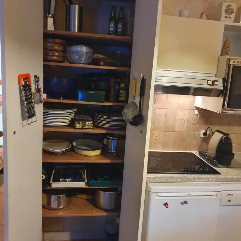 Residence "l'adret " l'alpe d'auron - Apartamento de 1 dormitorio - 1