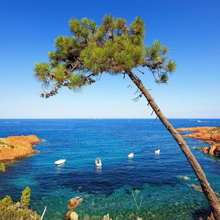 Duplex, vue panoramique sur la Méditerranée, piscine, garage - Appartamento con Vista Mare - 66