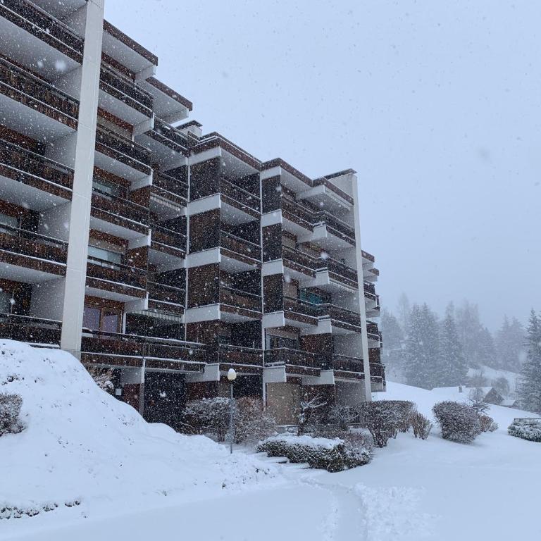 Les Dents du Midi A10 - Appartamento con 1 Camera da Letto - 7