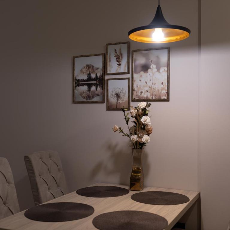 Ibis Lux Milmari Apartman N51 Kopaonik Panorama Spa - One-Bedroom Apartment - 18
