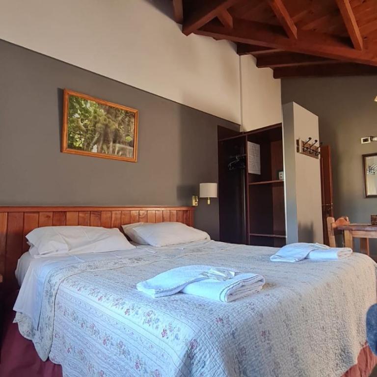 Complejo Raíces Patagonicas - Apartment - 1