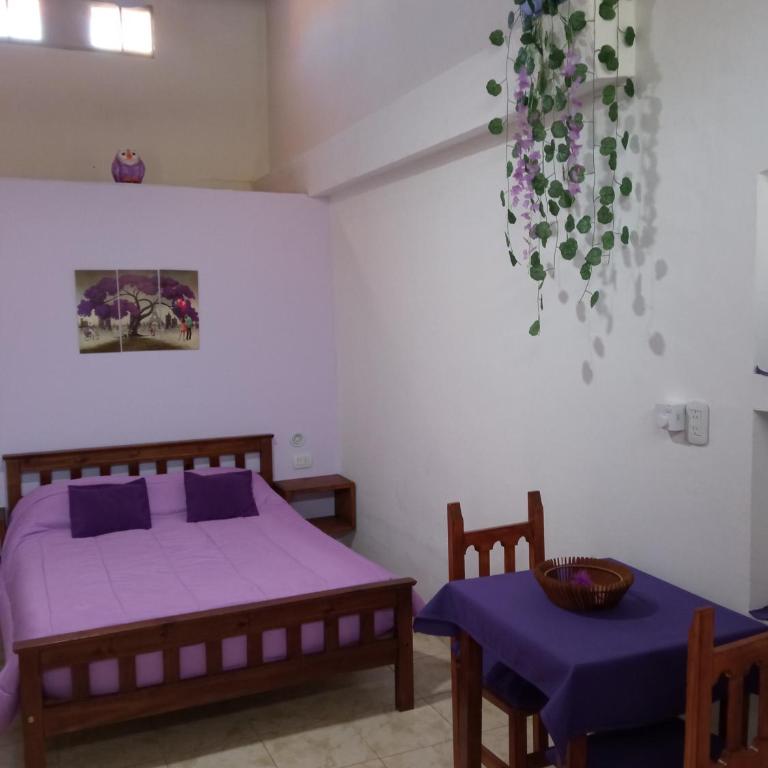 Violeta Monoambiente - Casa con 1 dormitorio - 12