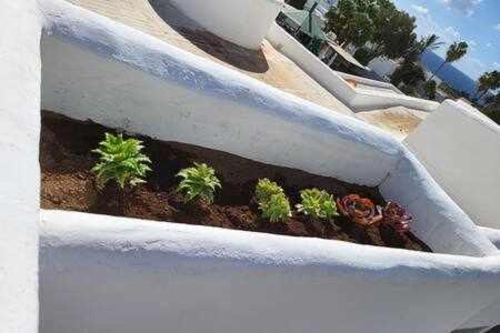Fantástico apartamento con terraza y vistas al mar - Apartamento - 26