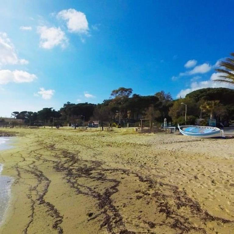 Charmant T2 avec balcon, proche plage Saint Clair, parking, 4 couchages - Le Lavandou - FR-1-251-258 - Apartment (4 Adults) - 19