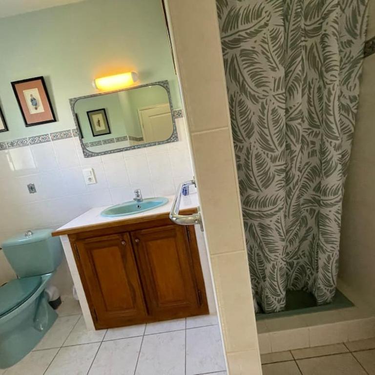 La Villa Tanamera, très jolie maison piscine, à 2 pas du centre-ville - Maison 3 Chambres - 13