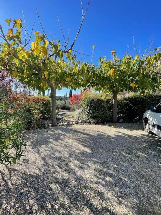 La Villa Tanamera, très jolie maison piscine, à 2 pas du centre-ville - Maison 3 Chambres - 17