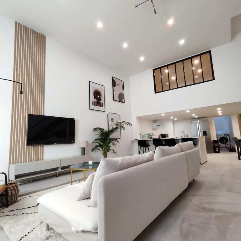 Beautiful apartments & Loft in Beziers center - Loft - 3