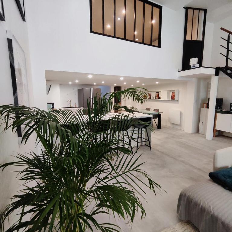 Beautiful apartments & Loft in Beziers center - Loft - 6