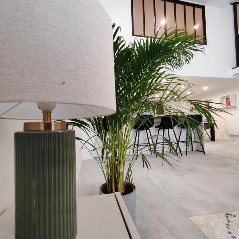 Beautiful apartments & Loft in Beziers center - Loft - 23