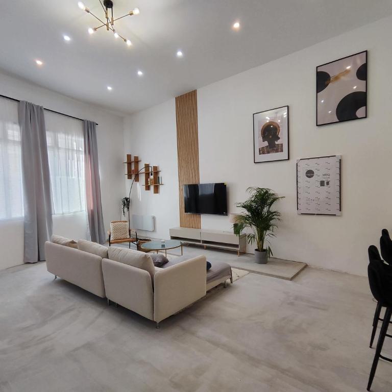Beautiful apartments & Loft in Beziers center - Loft - 10