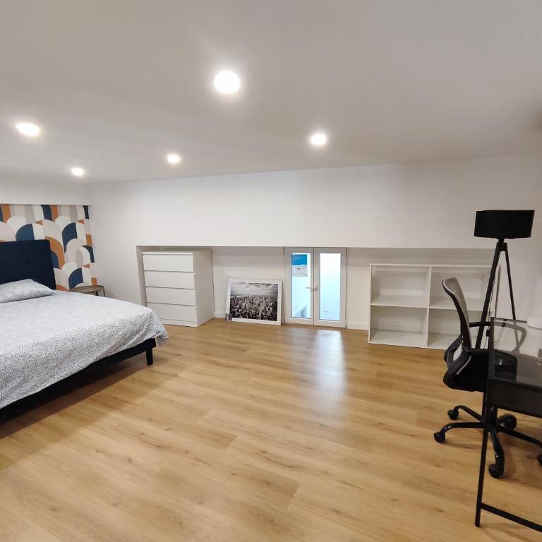 Beautiful apartments & Loft in Beziers center - Loft - 28